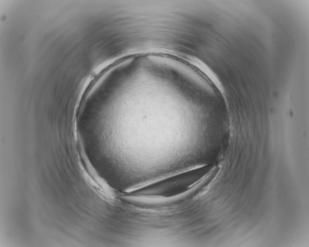 X0000070201388200606161605
