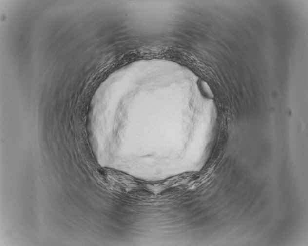 X0000070201393200606161604