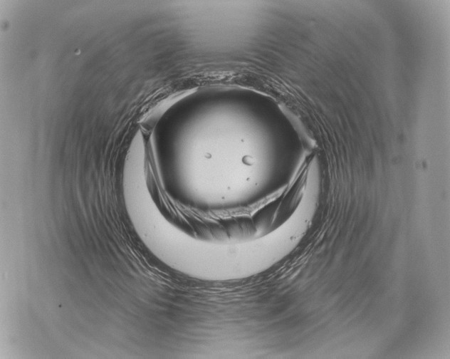 X0000070201394200606161604