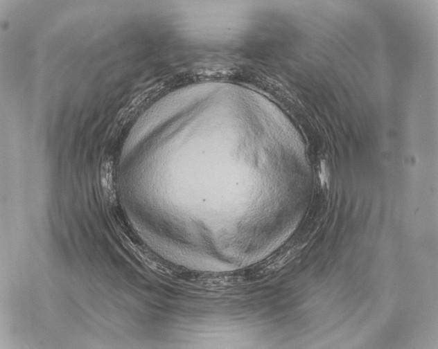X0000070201396200606161604