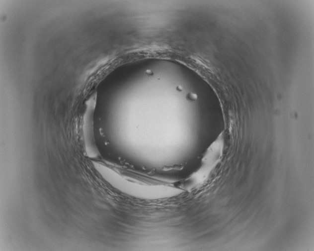 X0000070201398200606161604