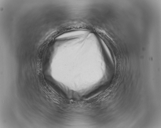 X0000070201399200606161604