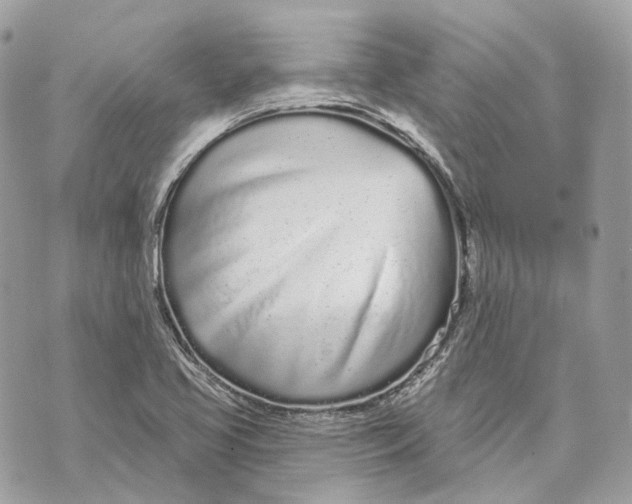 X0000070201413200606161605