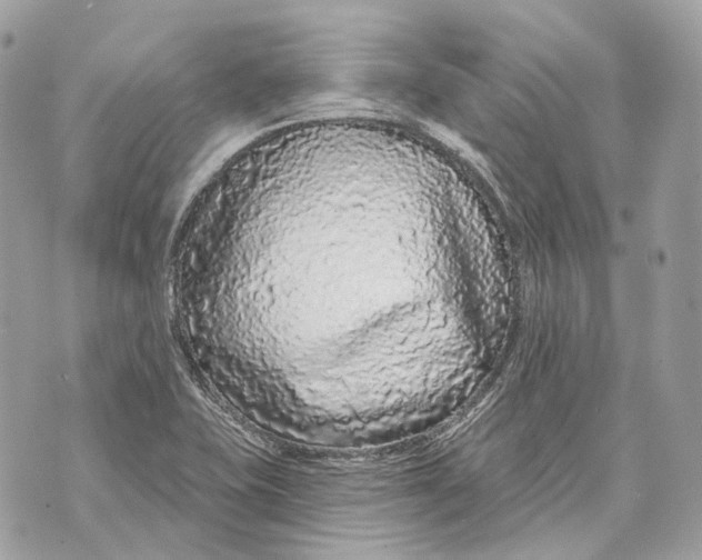 X0000070201415200606161605