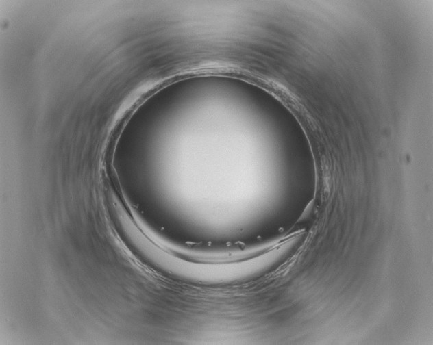 X0000070201422200606161605