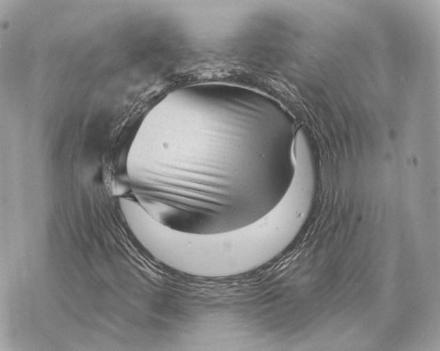 X0000070201444200606161604