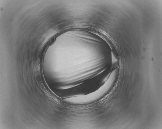 X0000070201450200606161604