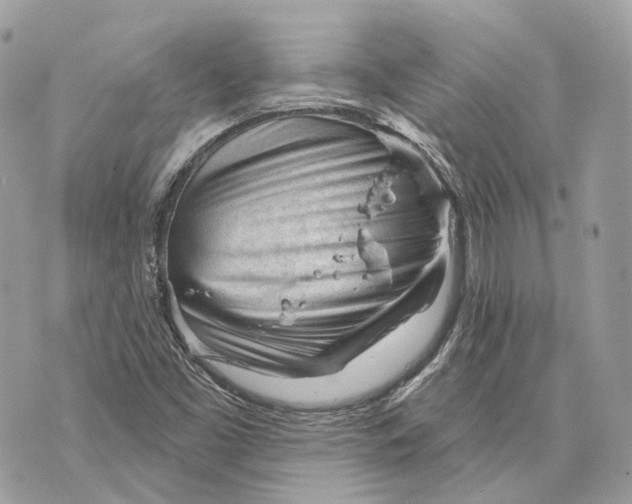 X0000070201453200606161604