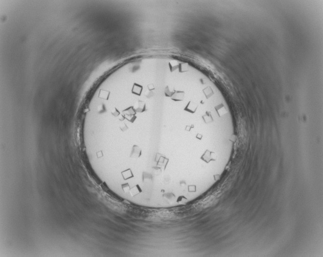 X0000070201462200606161604