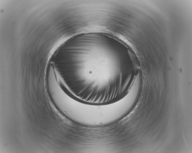X0000070201469200606161604