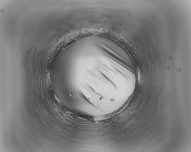 X0000070201492200606161603