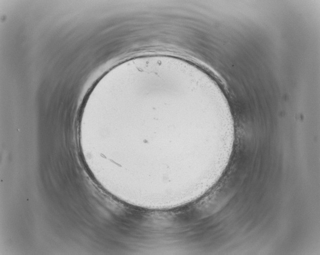 X0000070201514200606161603