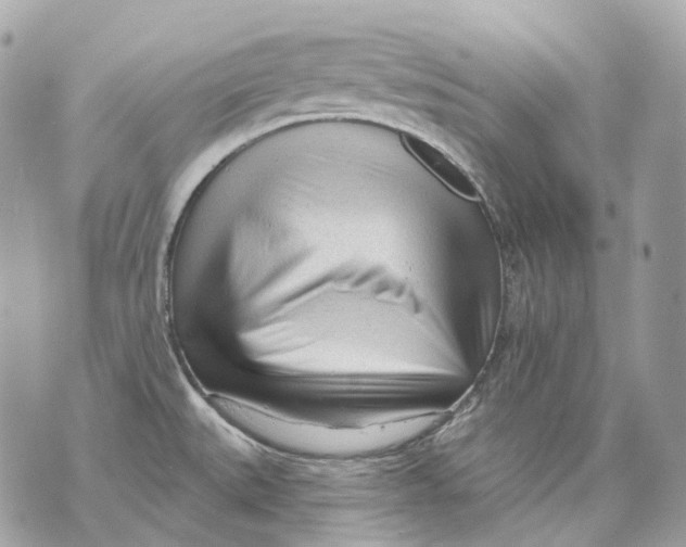X0000070201527200606161603
