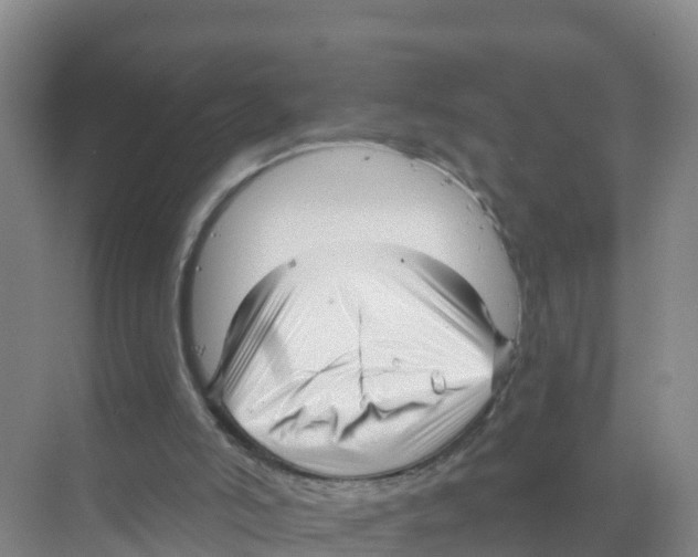 X0000070200006200606232051
