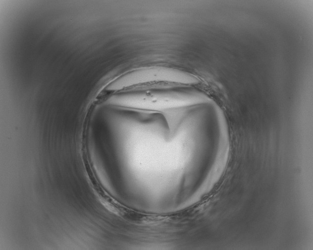 X0000070200051200606232049
