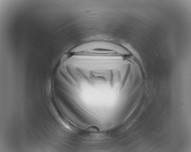 X0000070200057200606232049