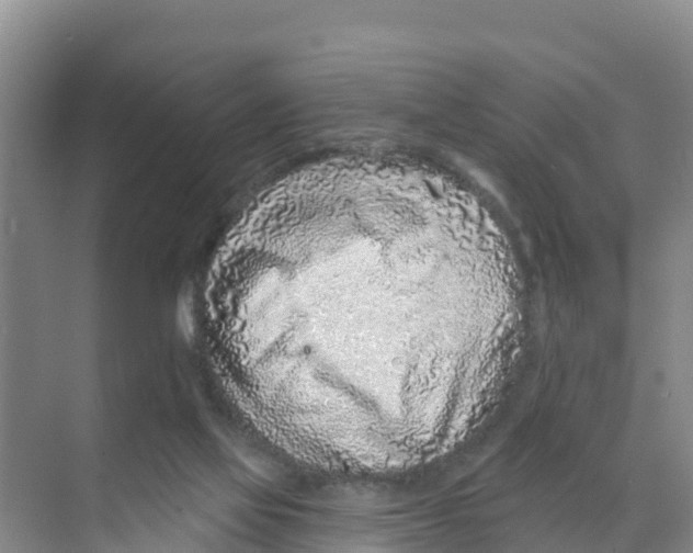 X0000070200069200606232049