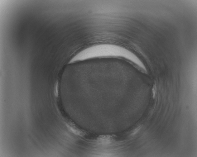 X0000070200076200606232049