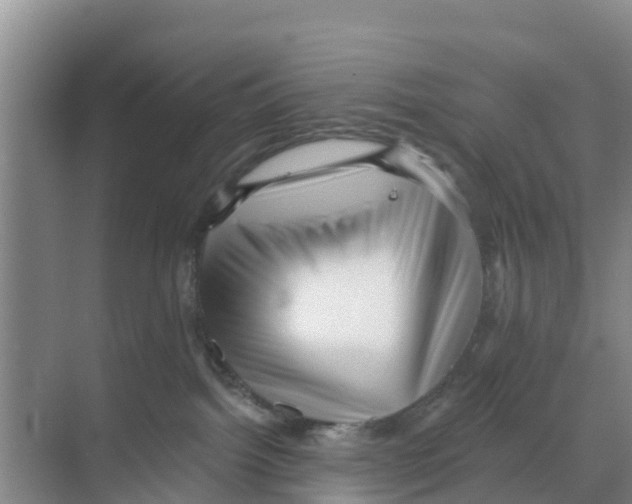 X0000070200092200606232050