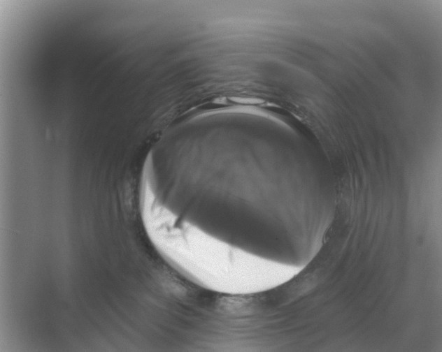 X0000070200139200606232048