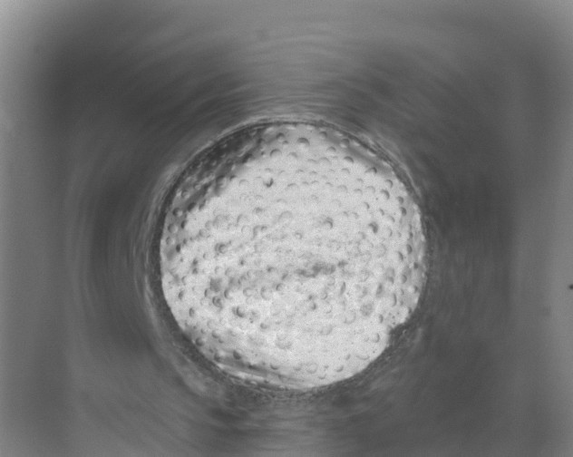 X0000070200145200606232047