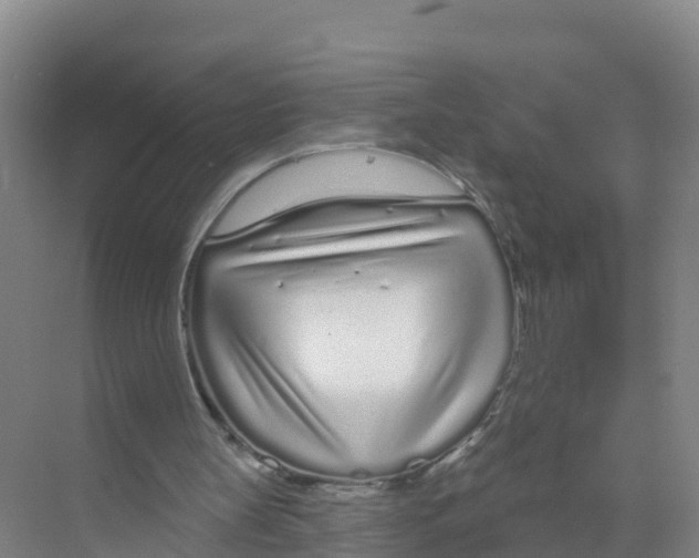 X0000070200147200606232047