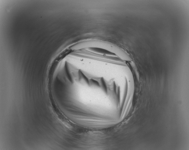 X0000070200150200606232047
