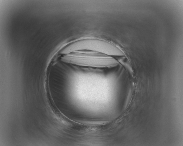 X0000070200152200606232048