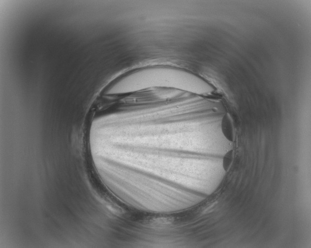 X0000070200156200606232048