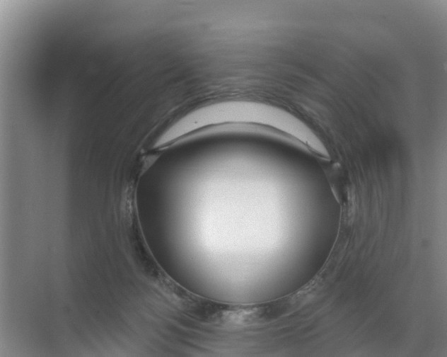 X0000070200172200606232048