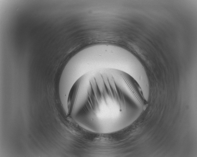 X0000070200211200606232047