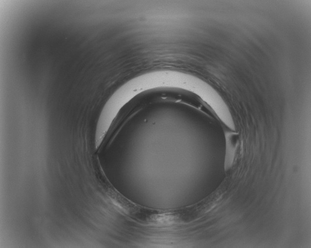 X0000070200219200606232047