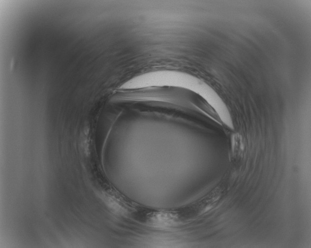 X0000070200223200606232047