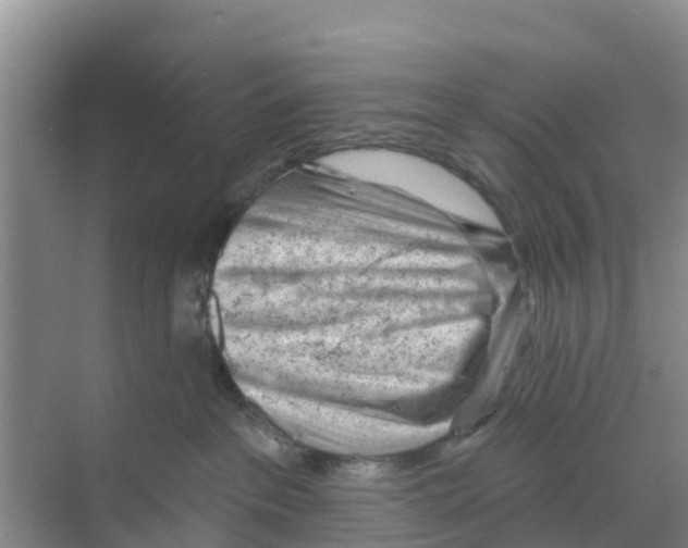 X0000070200237200606232047