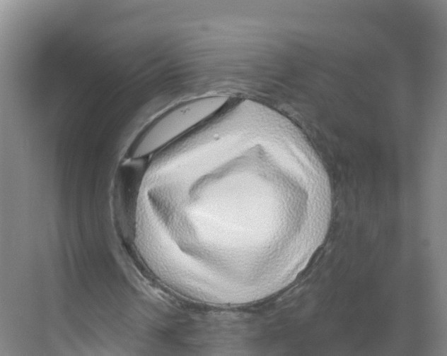 X0000070200242200606232046