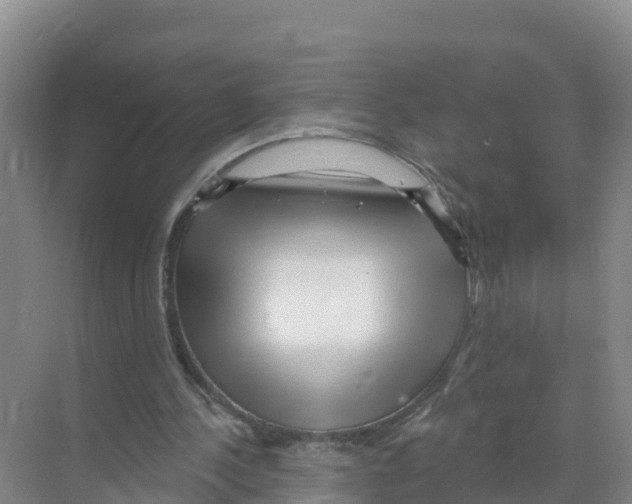 X0000070200244200606232046