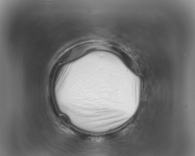 X0000070200247200606232046