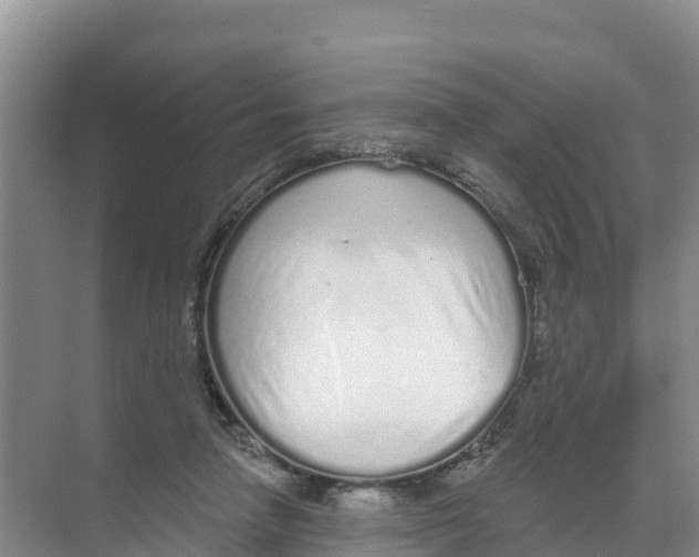 X0000070200258200606232046