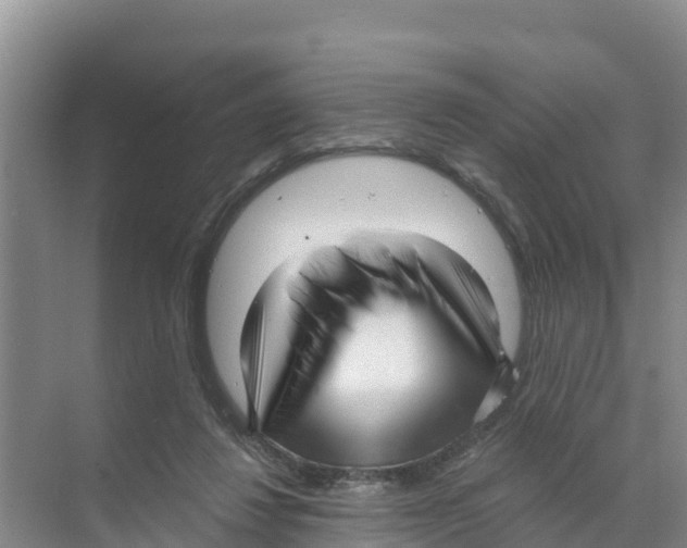 X0000070200260200606232046