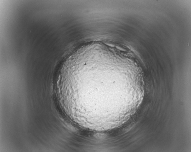 X0000070200261200606232046
