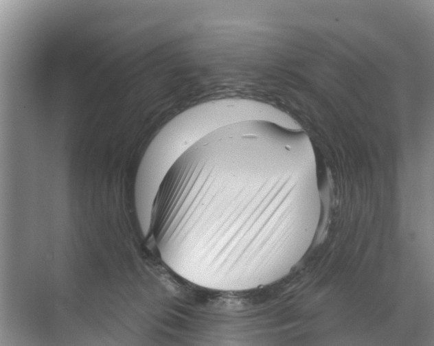 X0000070200276200606232046