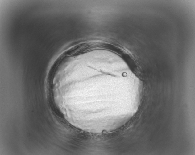 X0000070200343200606232044