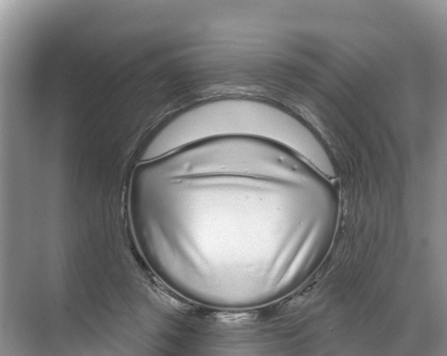 X0000070200357200606232045