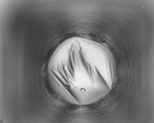 X0000070200364200606232045