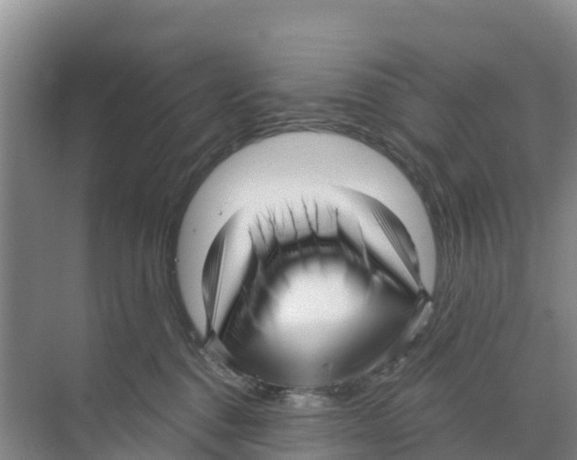 X0000070200376200606232045
