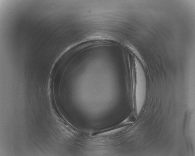 X0000070200387200606232044