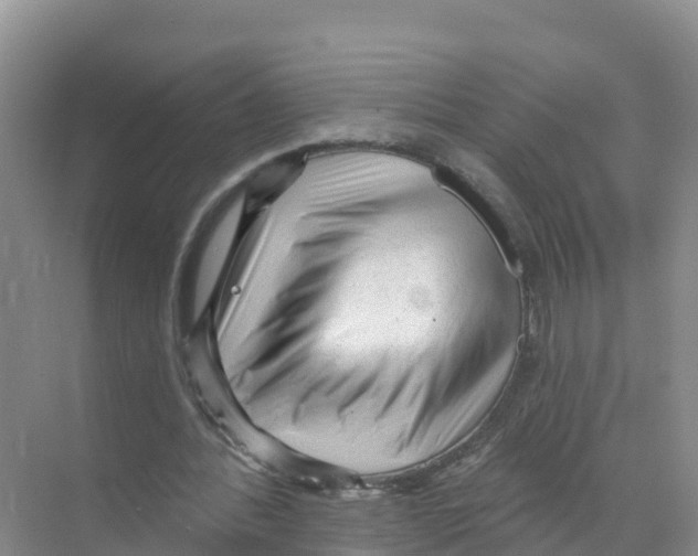 X0000070200388200606232044