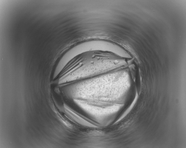 X0000070200397200606232044