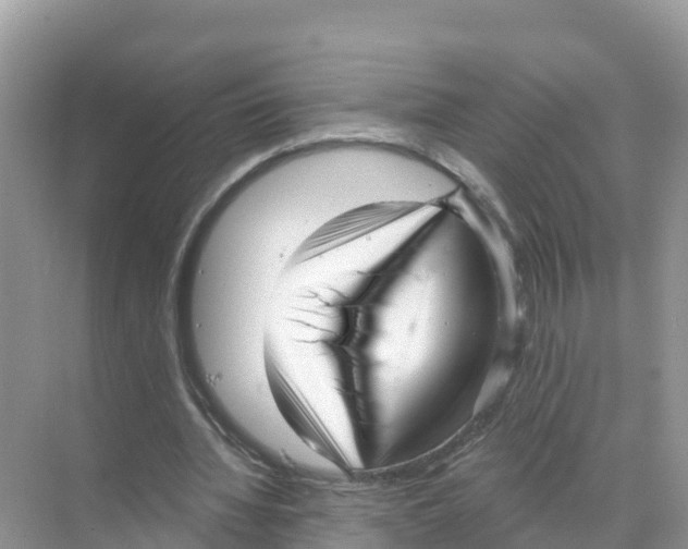 X0000070200436200606232043