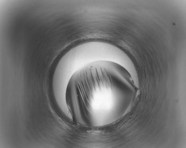 X0000070200448200606232043